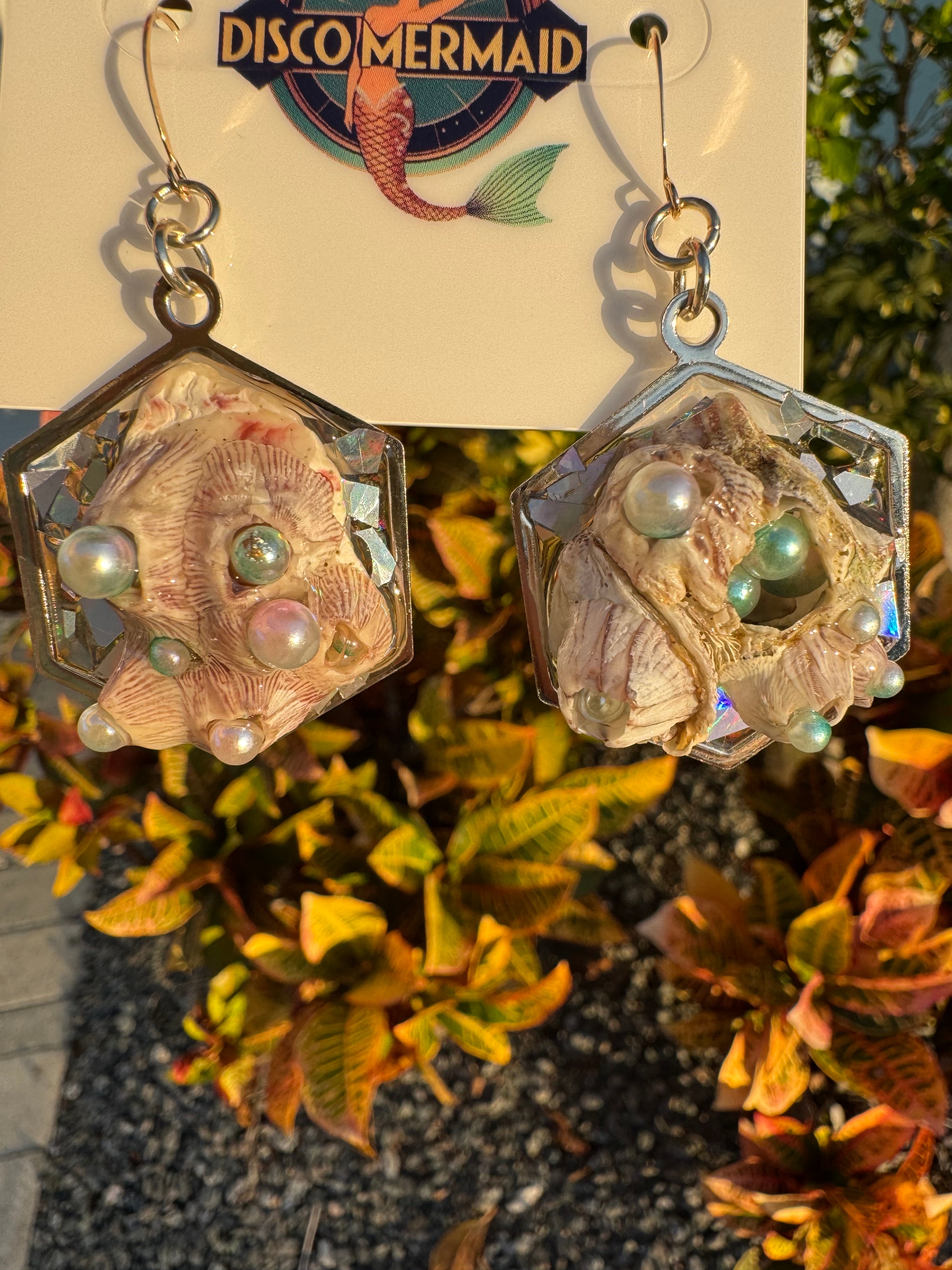 Barnacles Dressed to Party