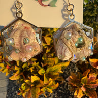 Barnacles Dressed to Party