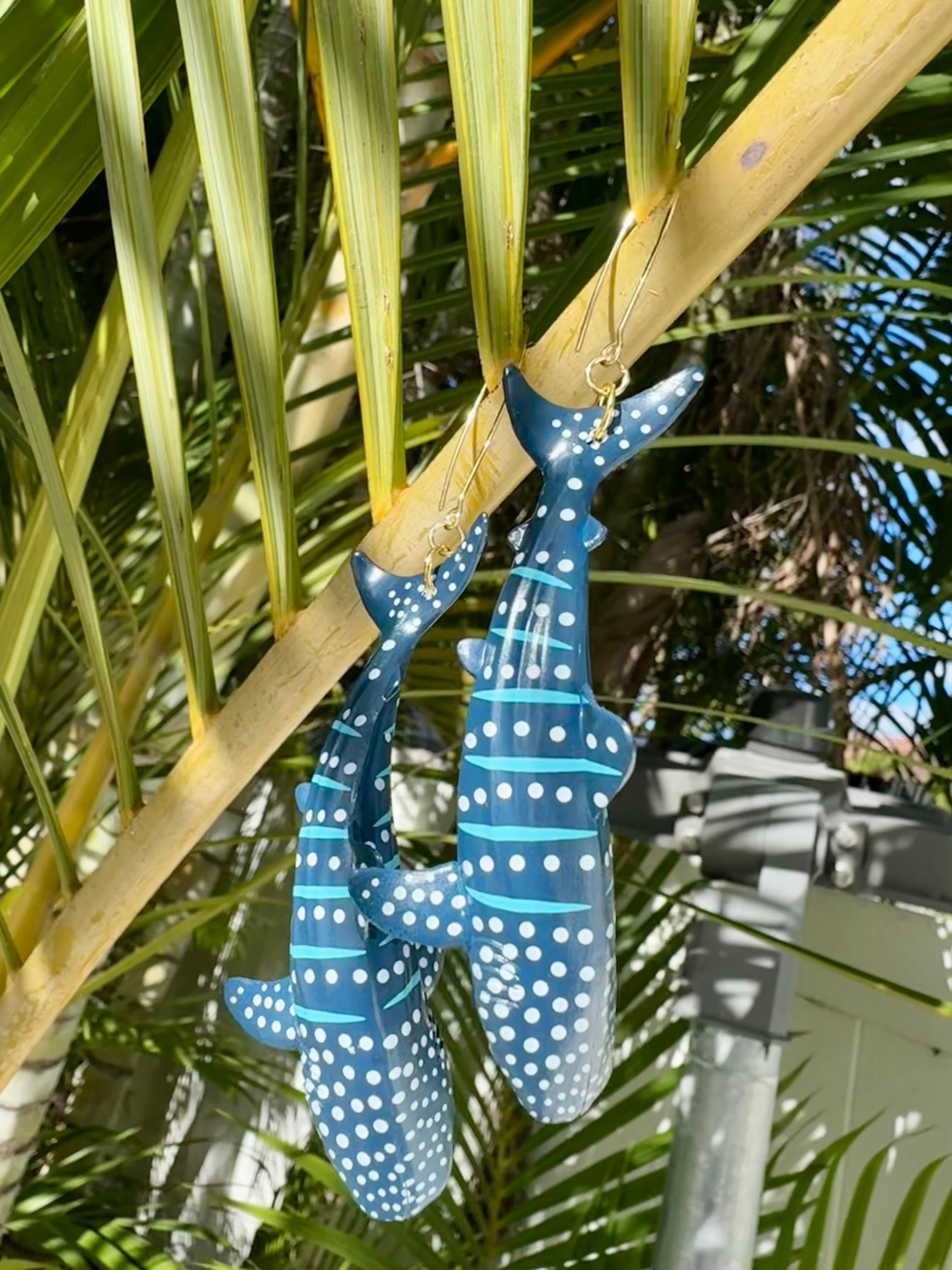 Shark Whale, Whale Shark