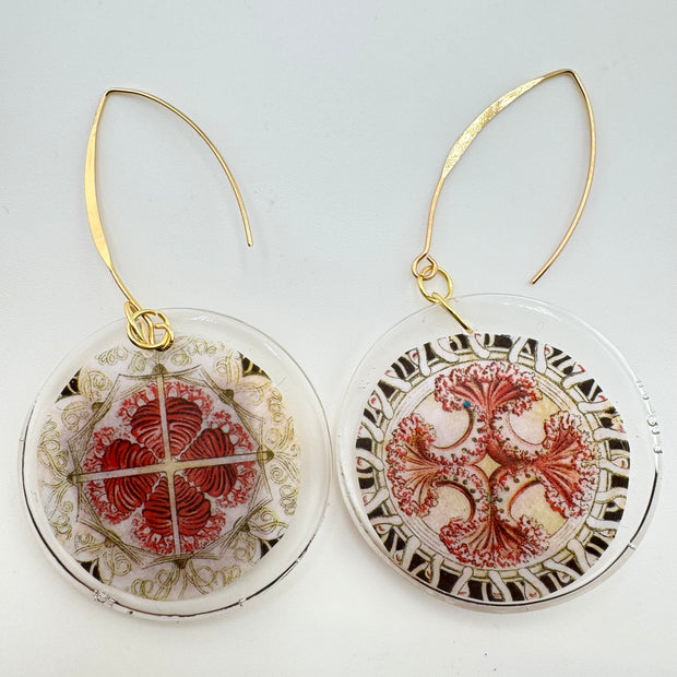 We Are Saltwater Bodies