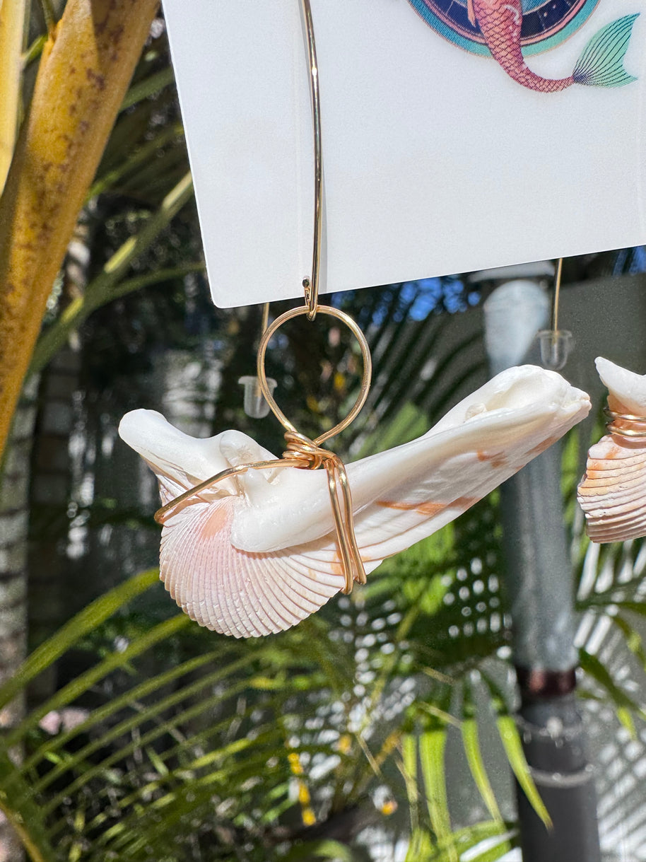 Soaring Angels