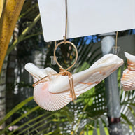Soaring Angels