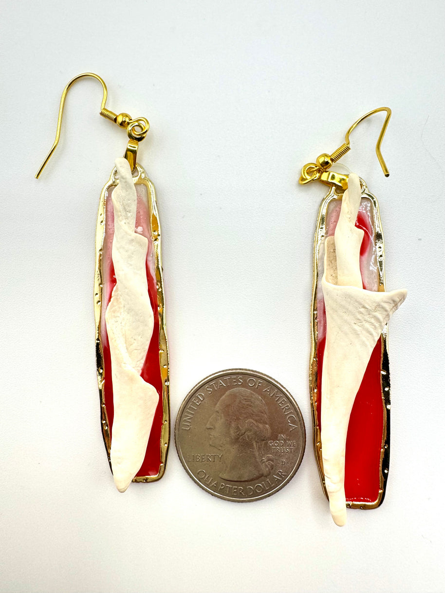 Red & White Cores