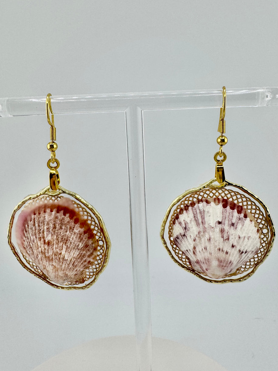 Whallup Scallop