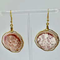 Whallup Scallop