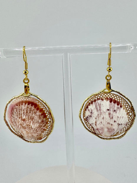 Whallup Scallop