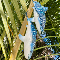 Shark Whale, Whale Shark