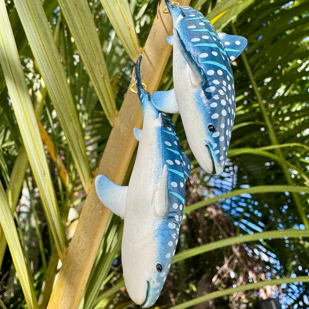 Shark Whale, Whale Shark