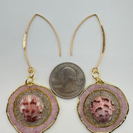 They Have an Energy to Them