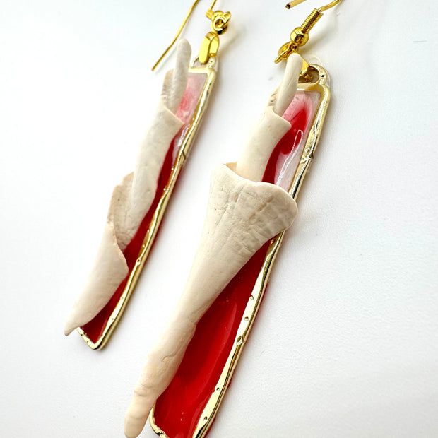 Red & White Cores