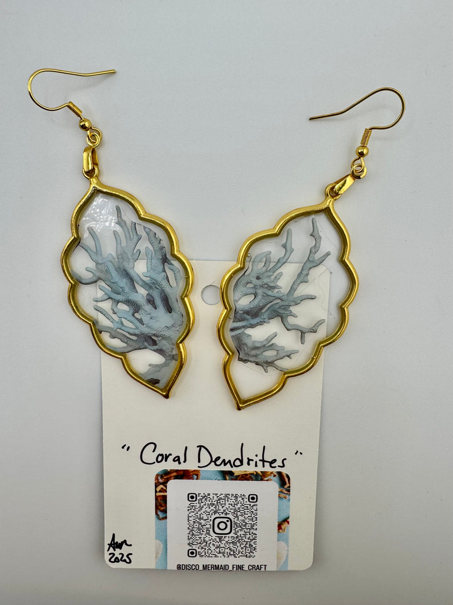 Coral Dendrites