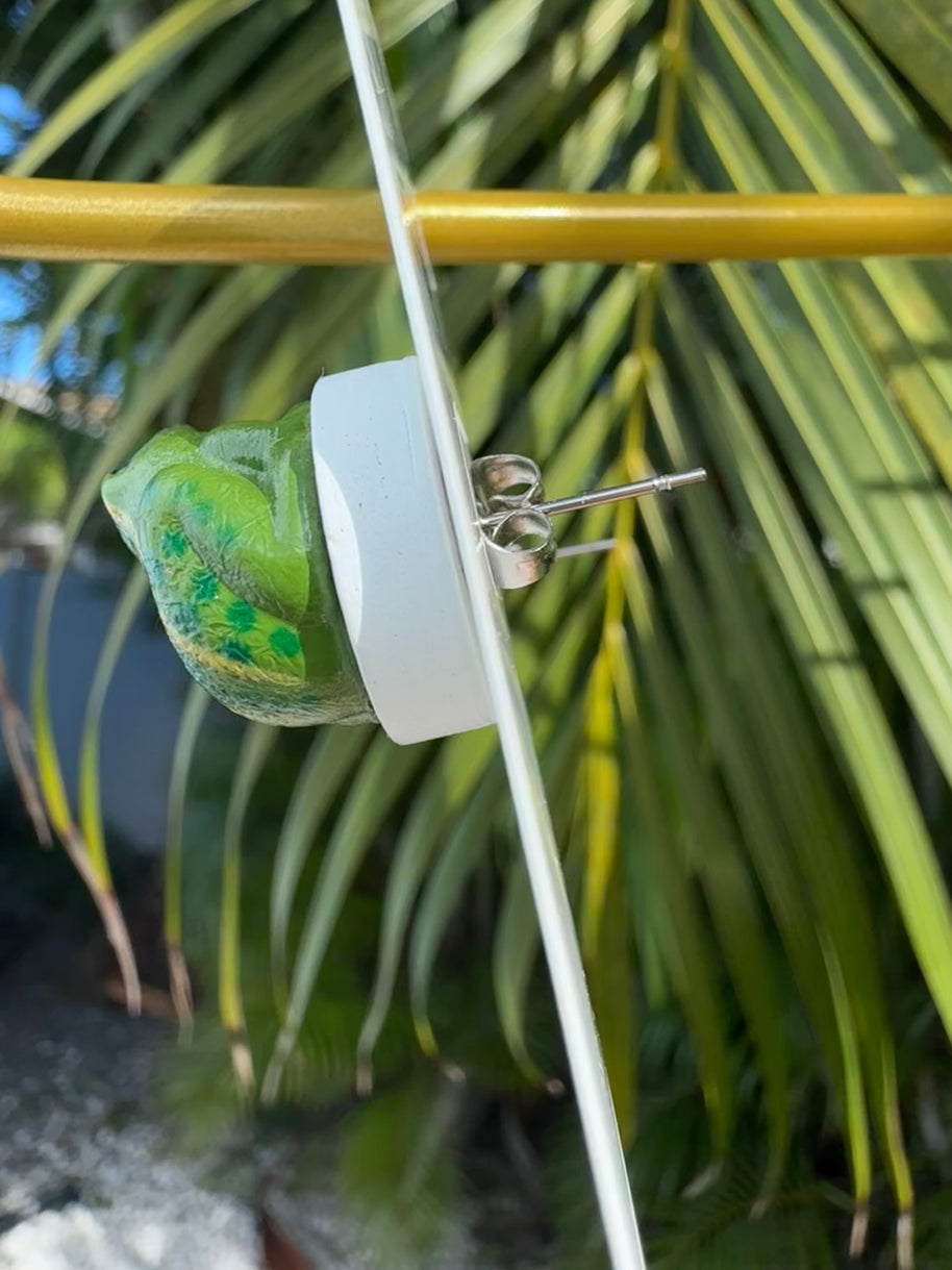 Frog Days of Summer