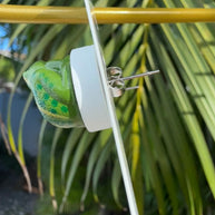 Frog Days of Summer