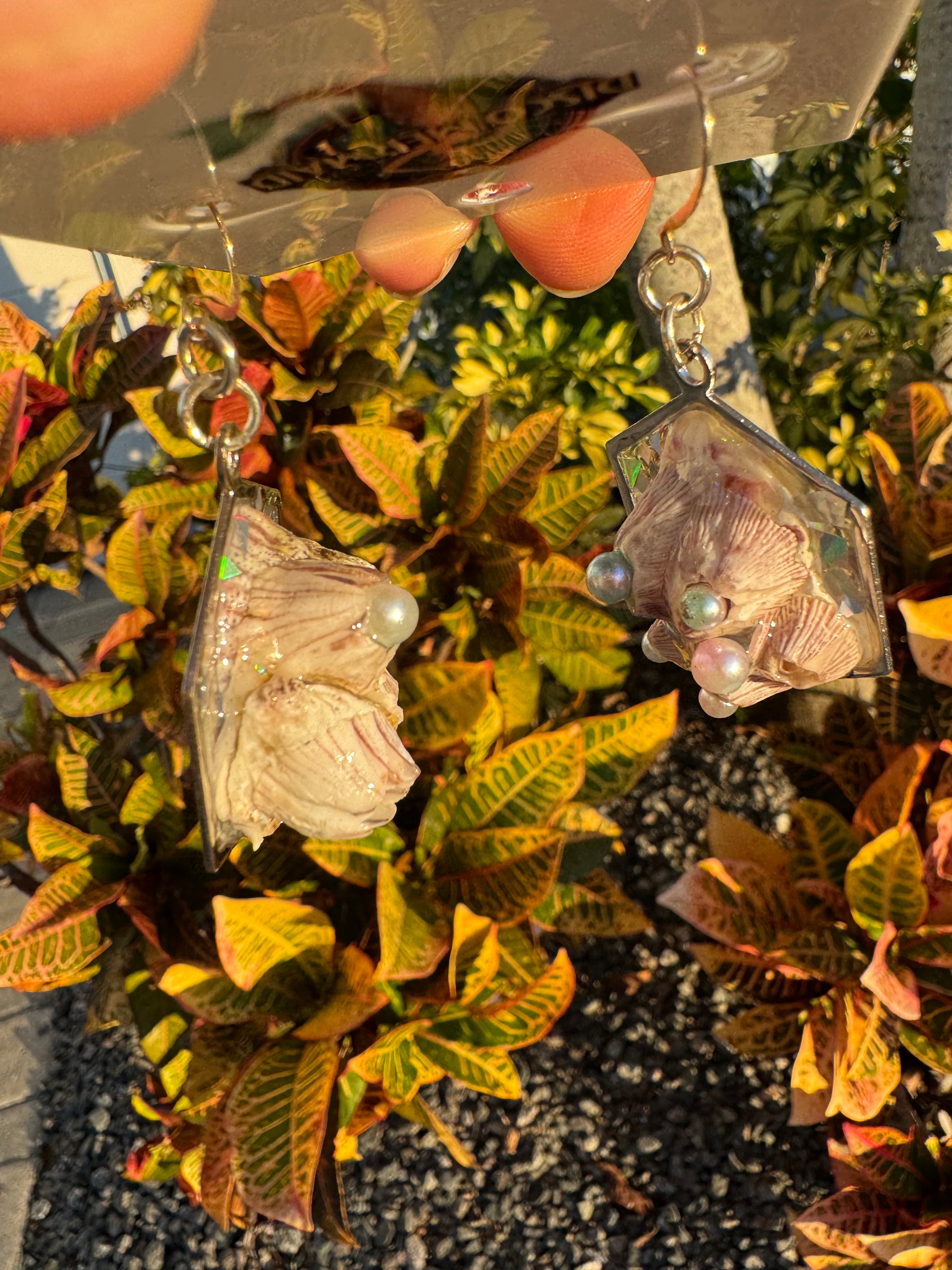 Barnacles Dressed to Party