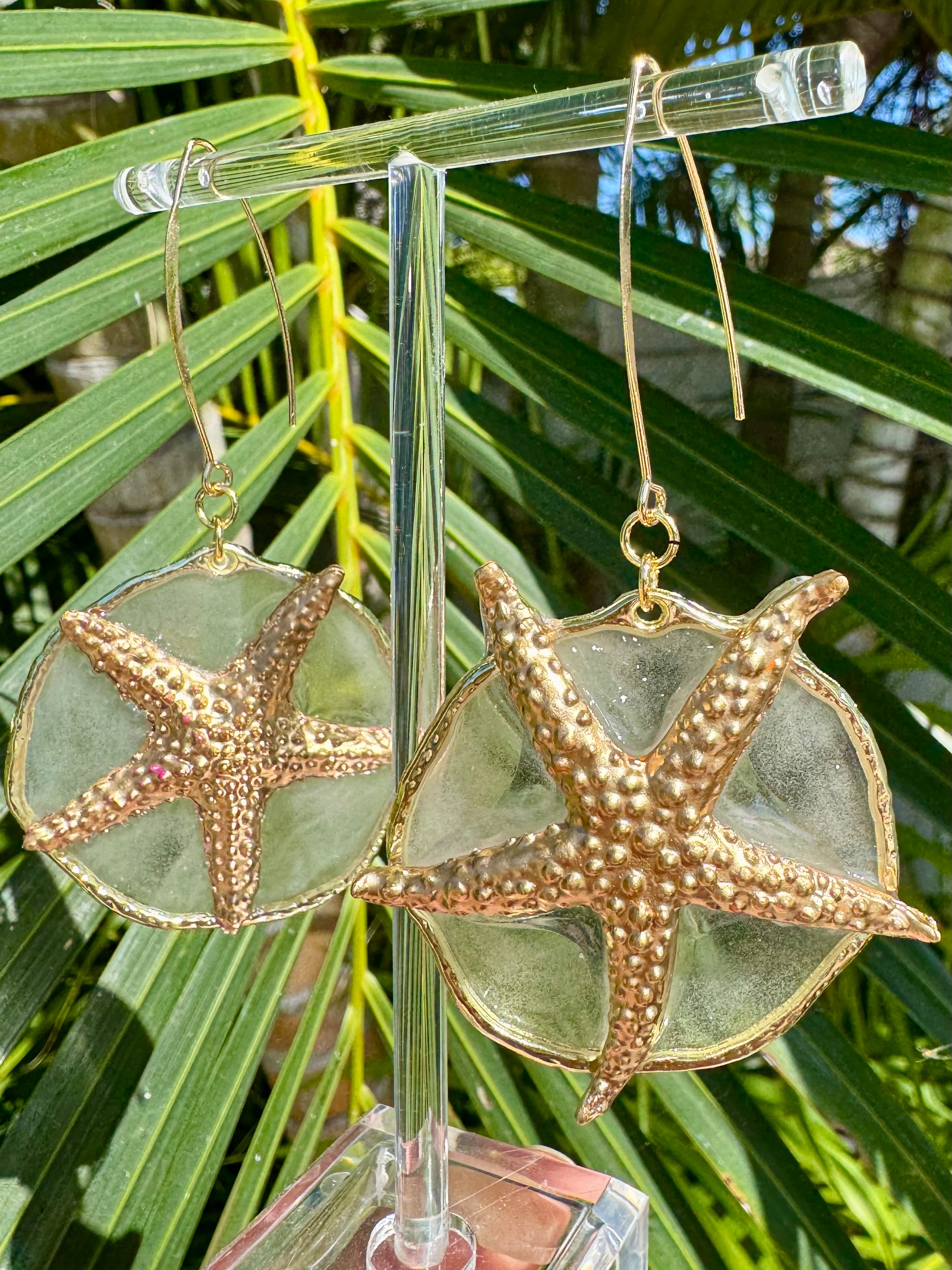 Starry Eyed
