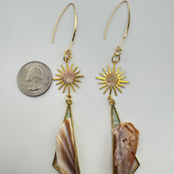 A Whelk on the Wild Side