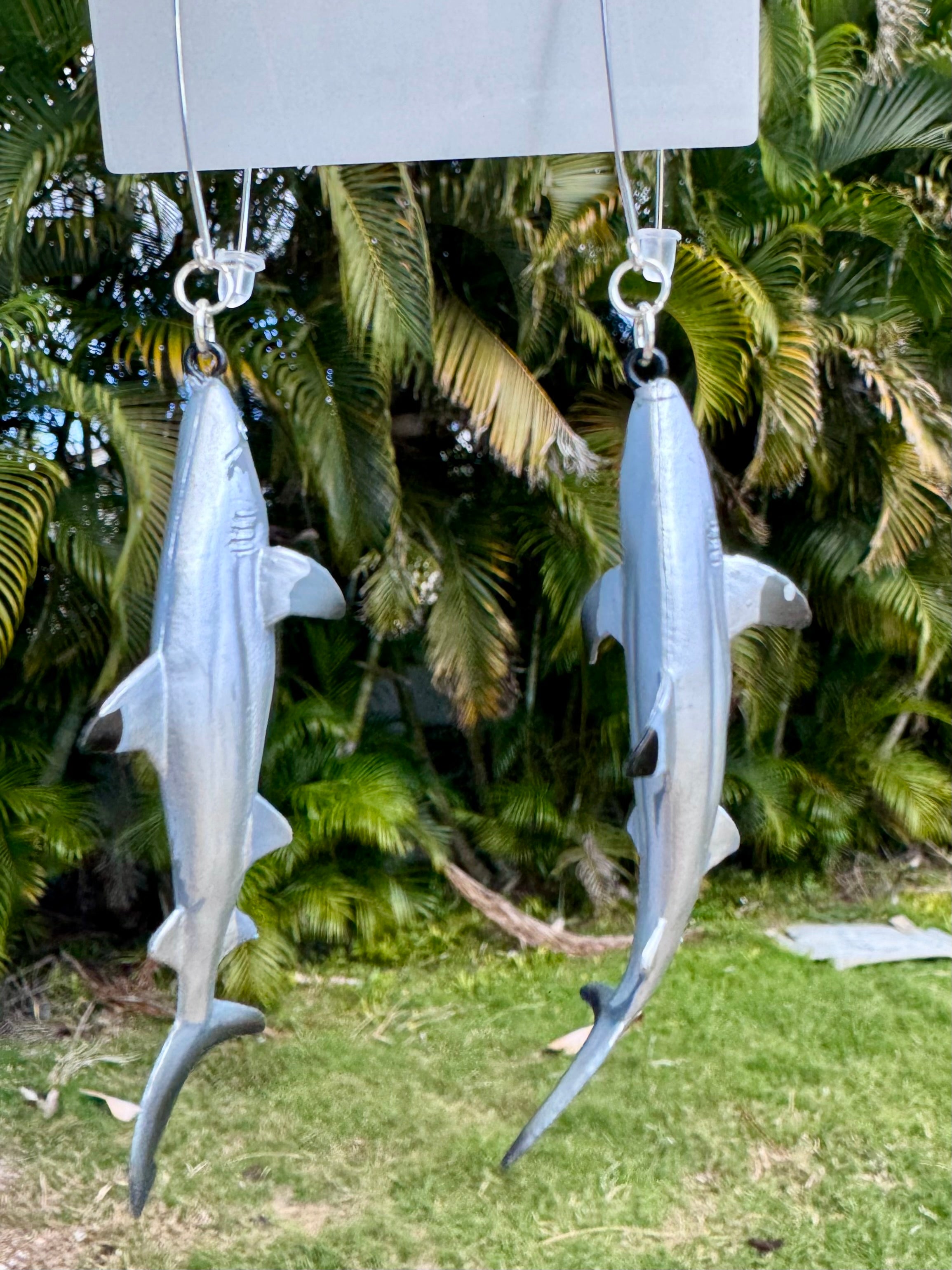 Carcharhinus limbatus