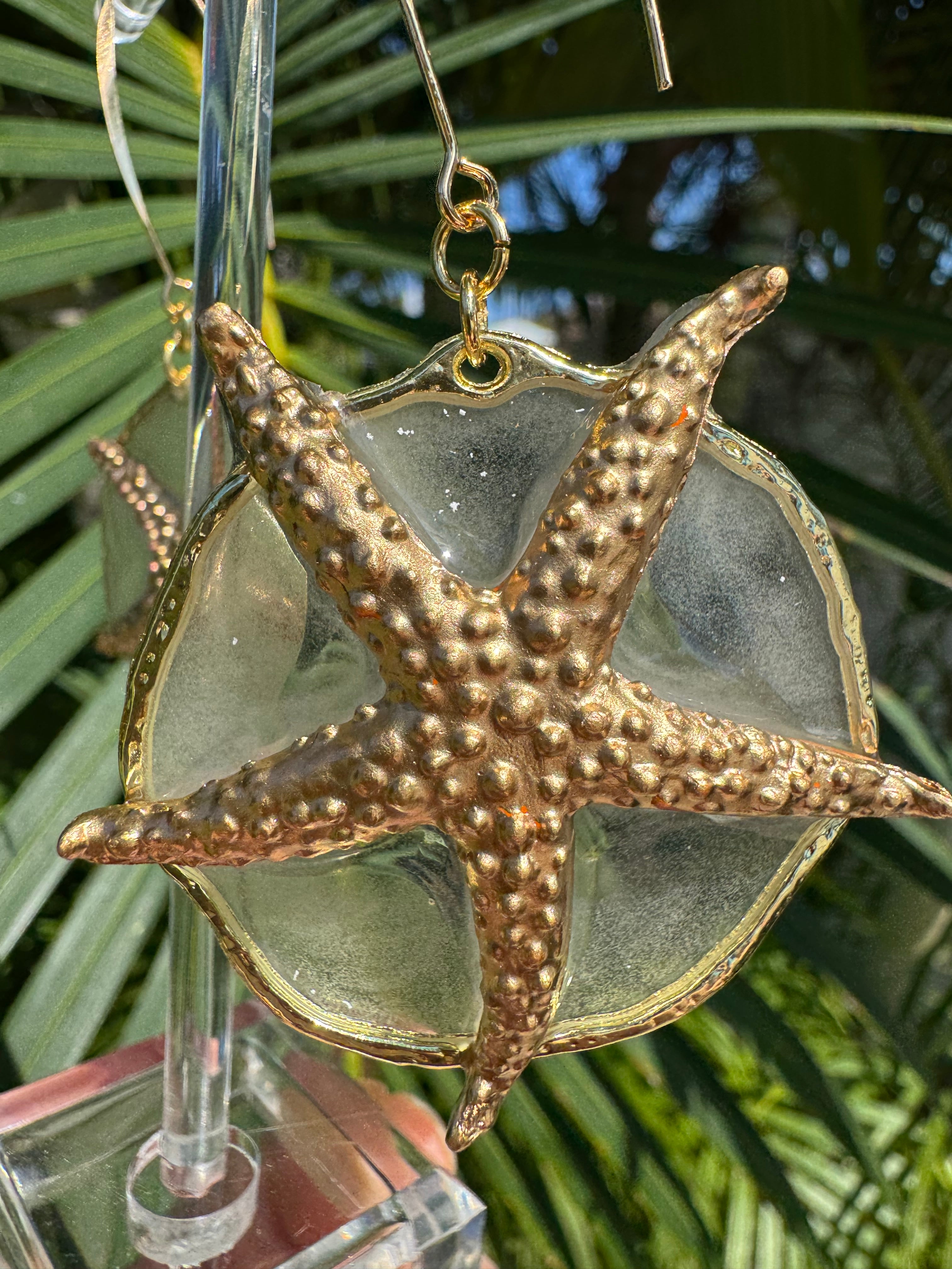 Starry Eyed