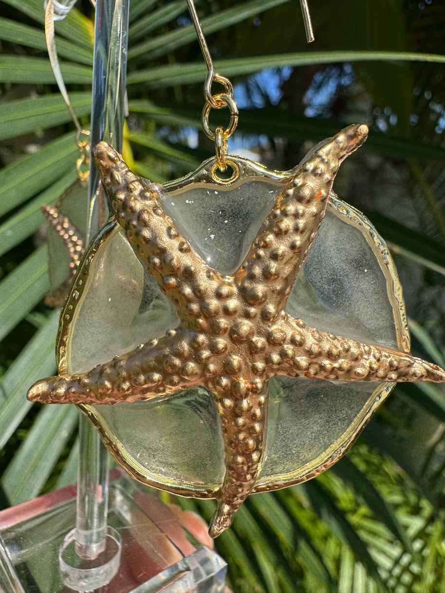 Starry Eyed