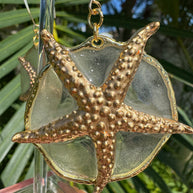 Starry Eyed