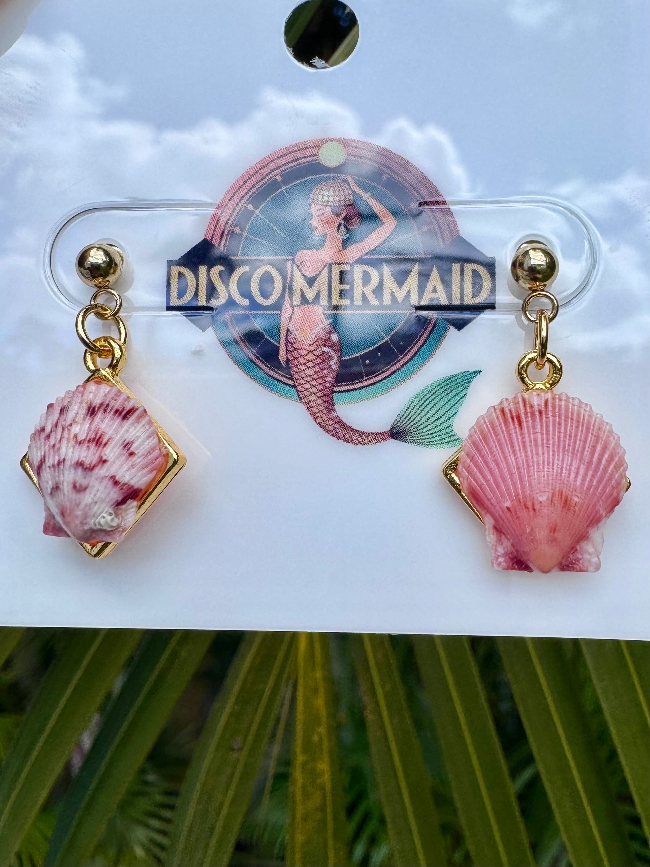 Sunrise on a New Day