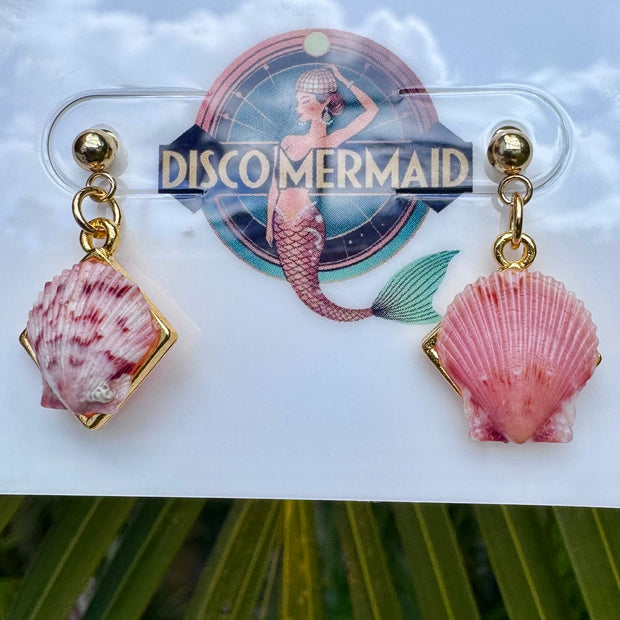 Sunrise on a New Day