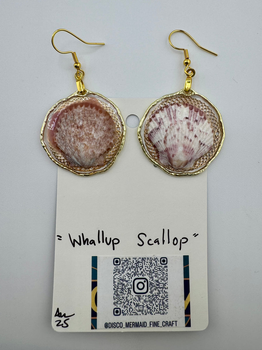 Whallup Scallop