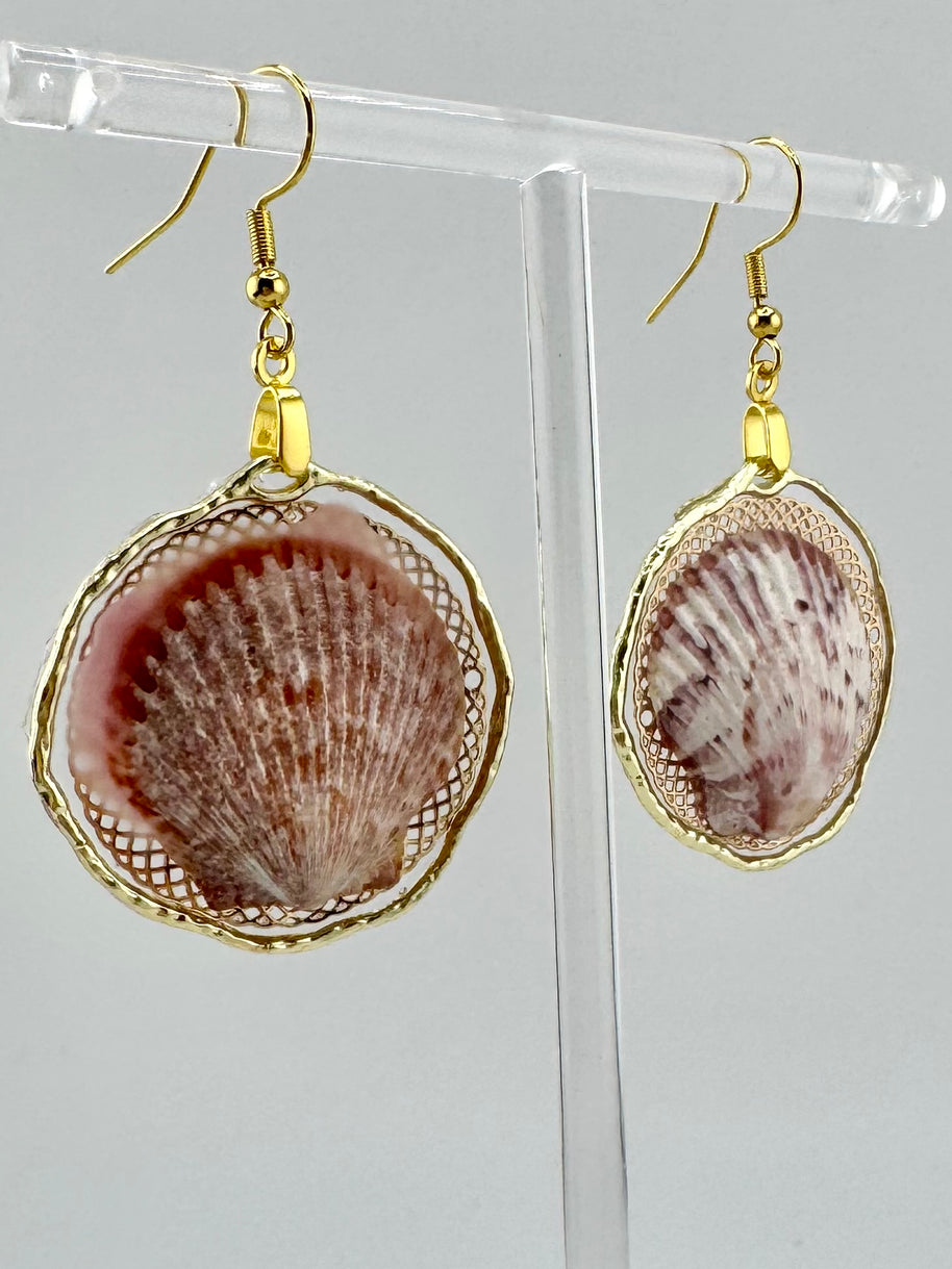 Whallup Scallop