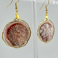 Whallup Scallop