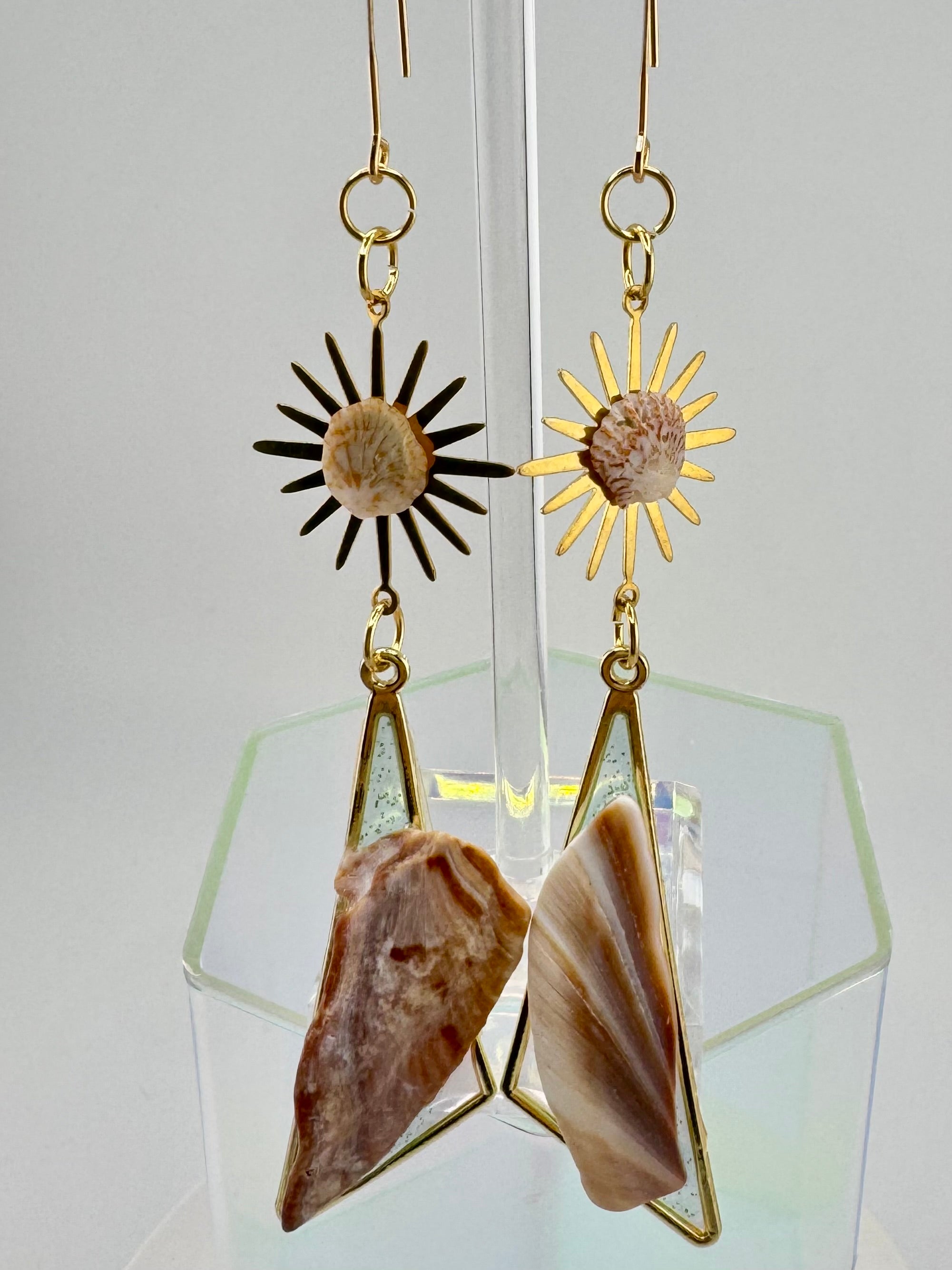 A Whelk on the Wild Side