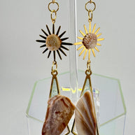 A Whelk on the Wild Side