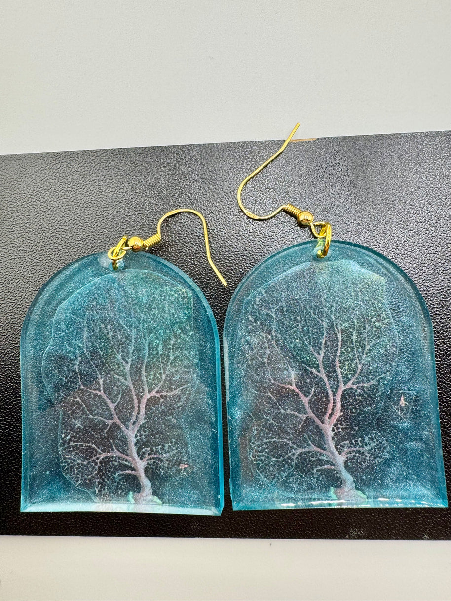 Coral Vs. Trees
