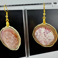Whallup Scallop