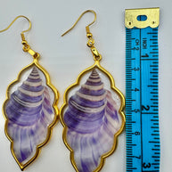 Strength of the Conch-eror