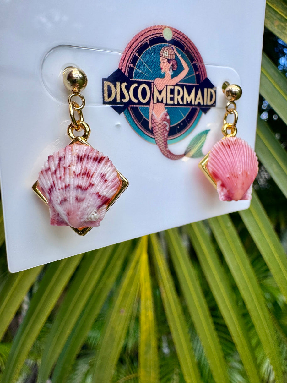 Sunrise on a New Day