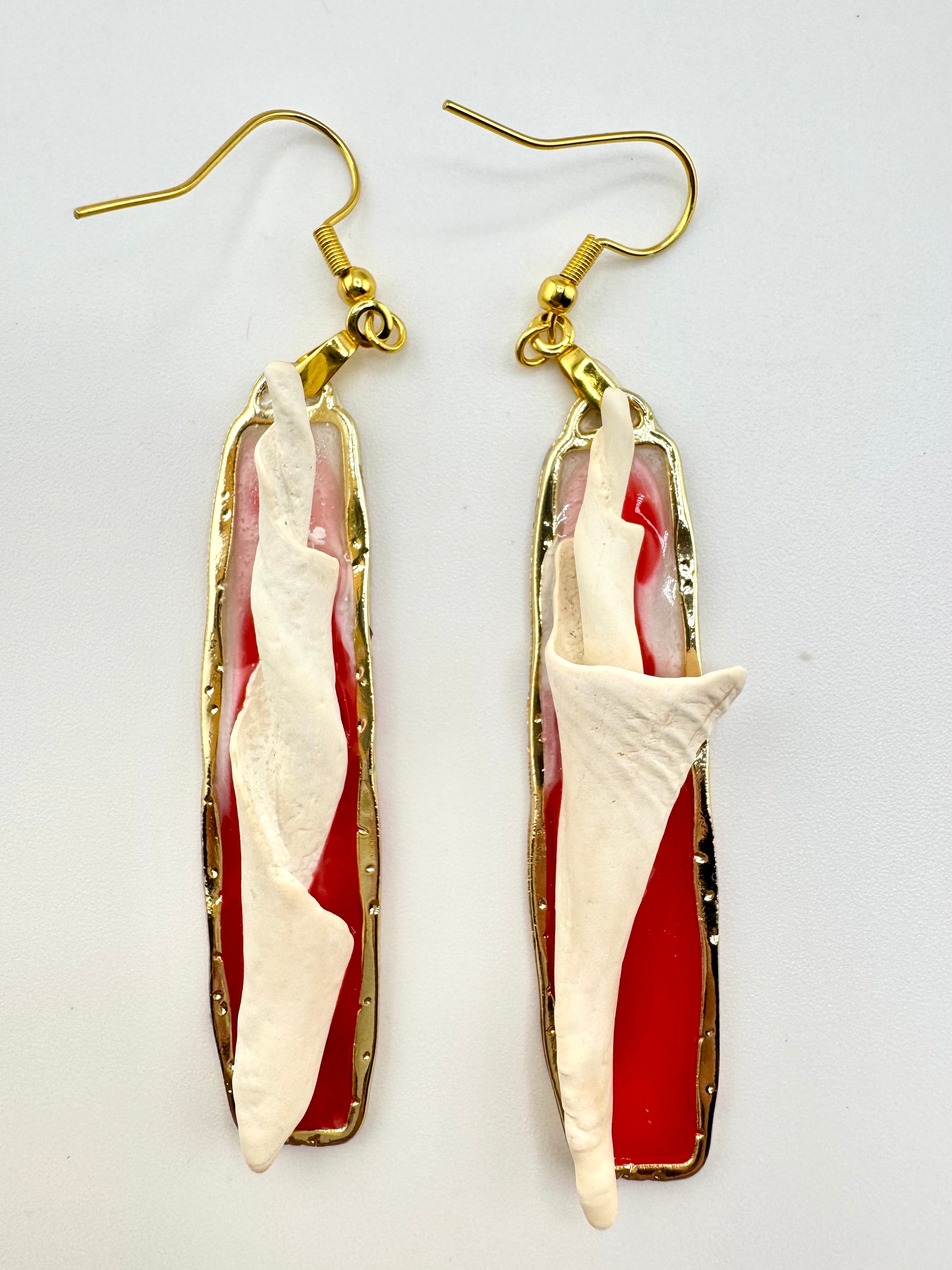Red & White Cores