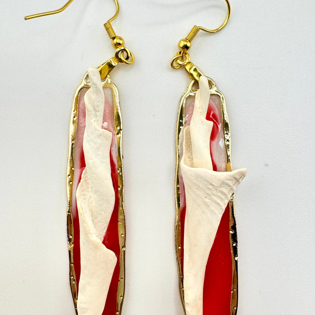 Red & White Cores
