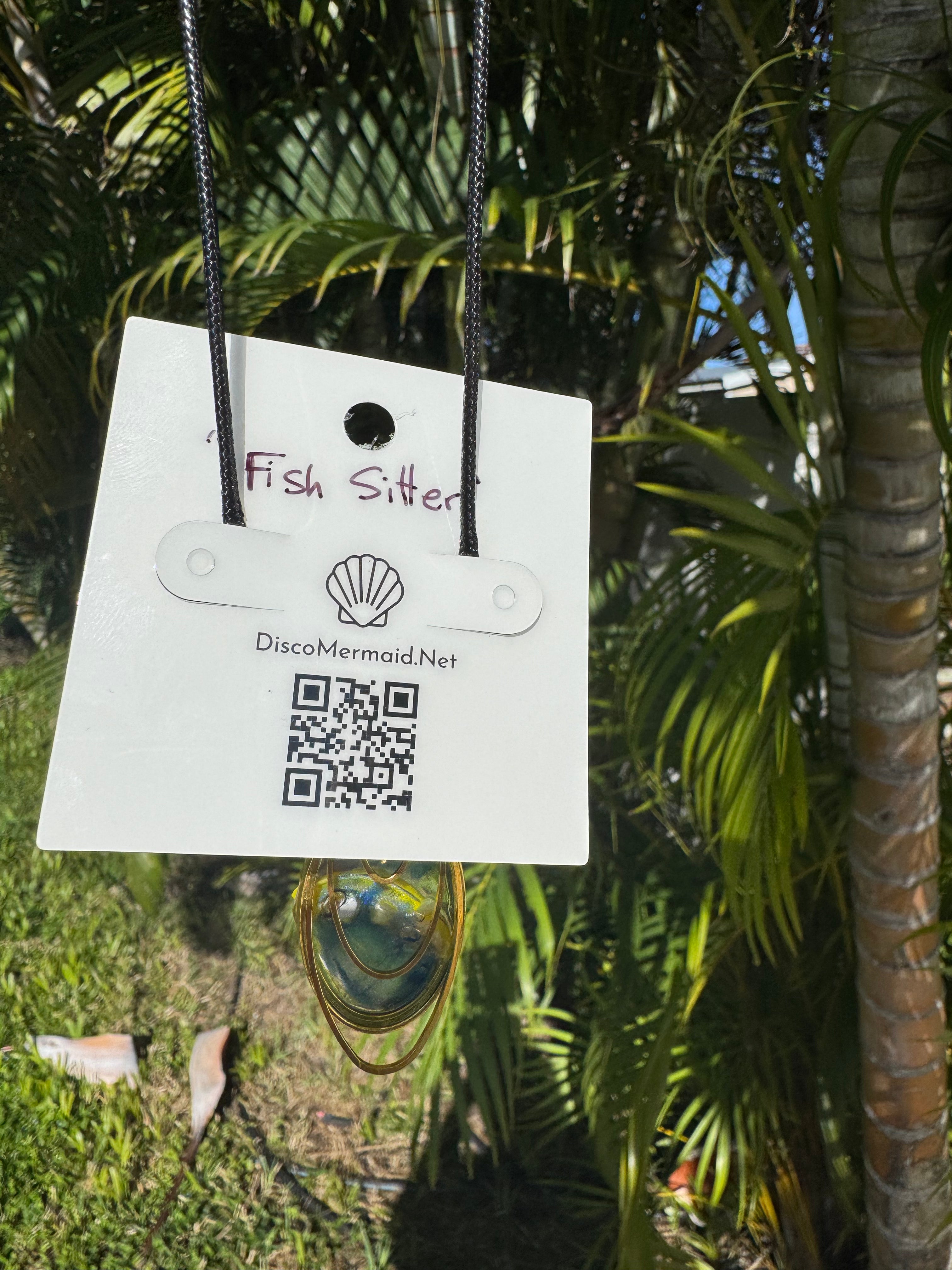 Fish Sitter
