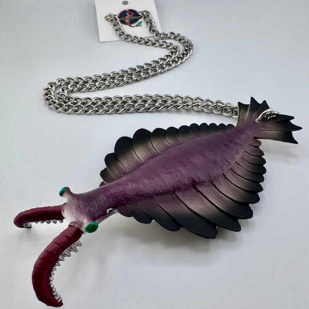 Anomalocaris