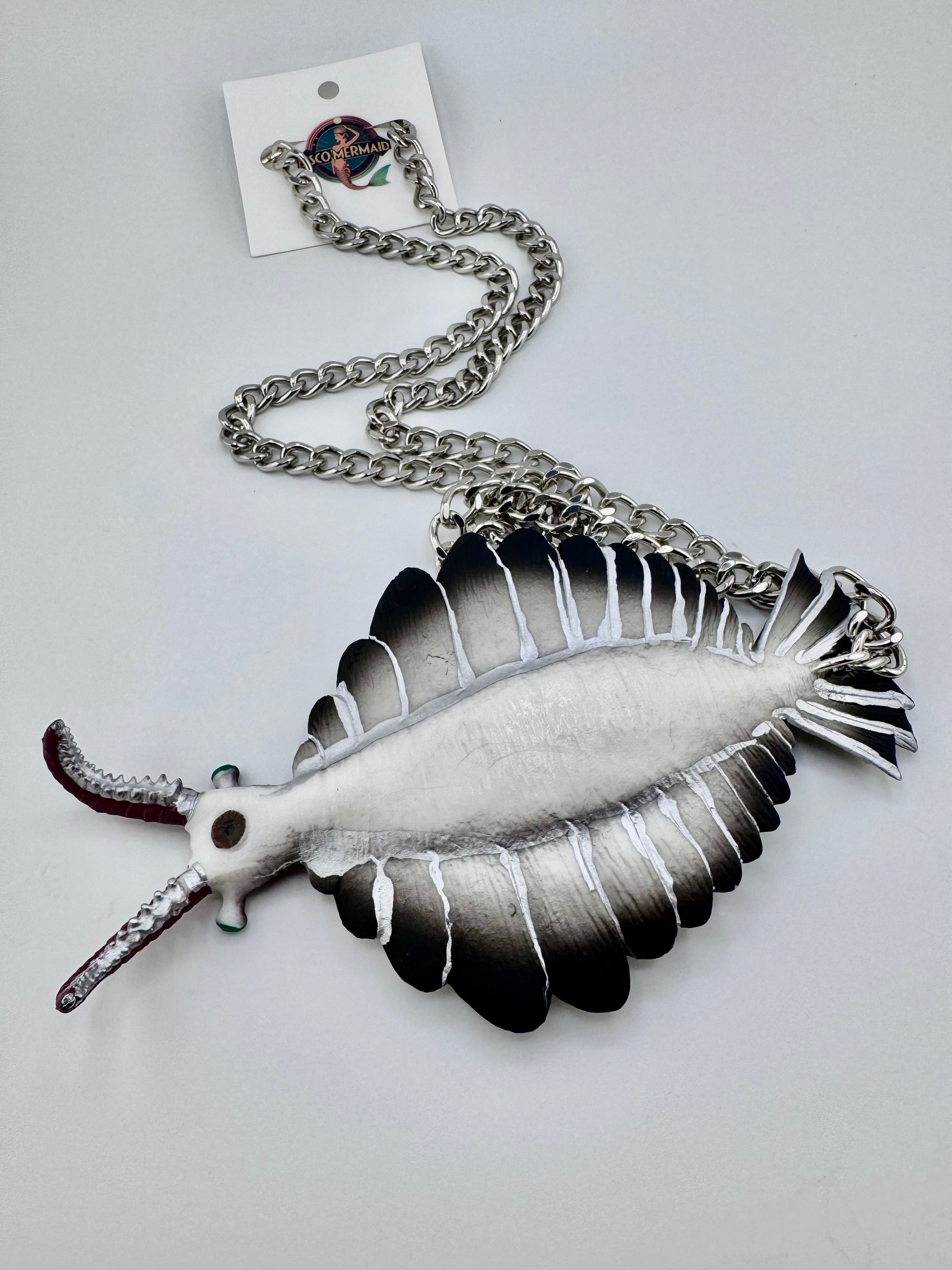 Anomalocaris