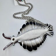 Anomalocaris