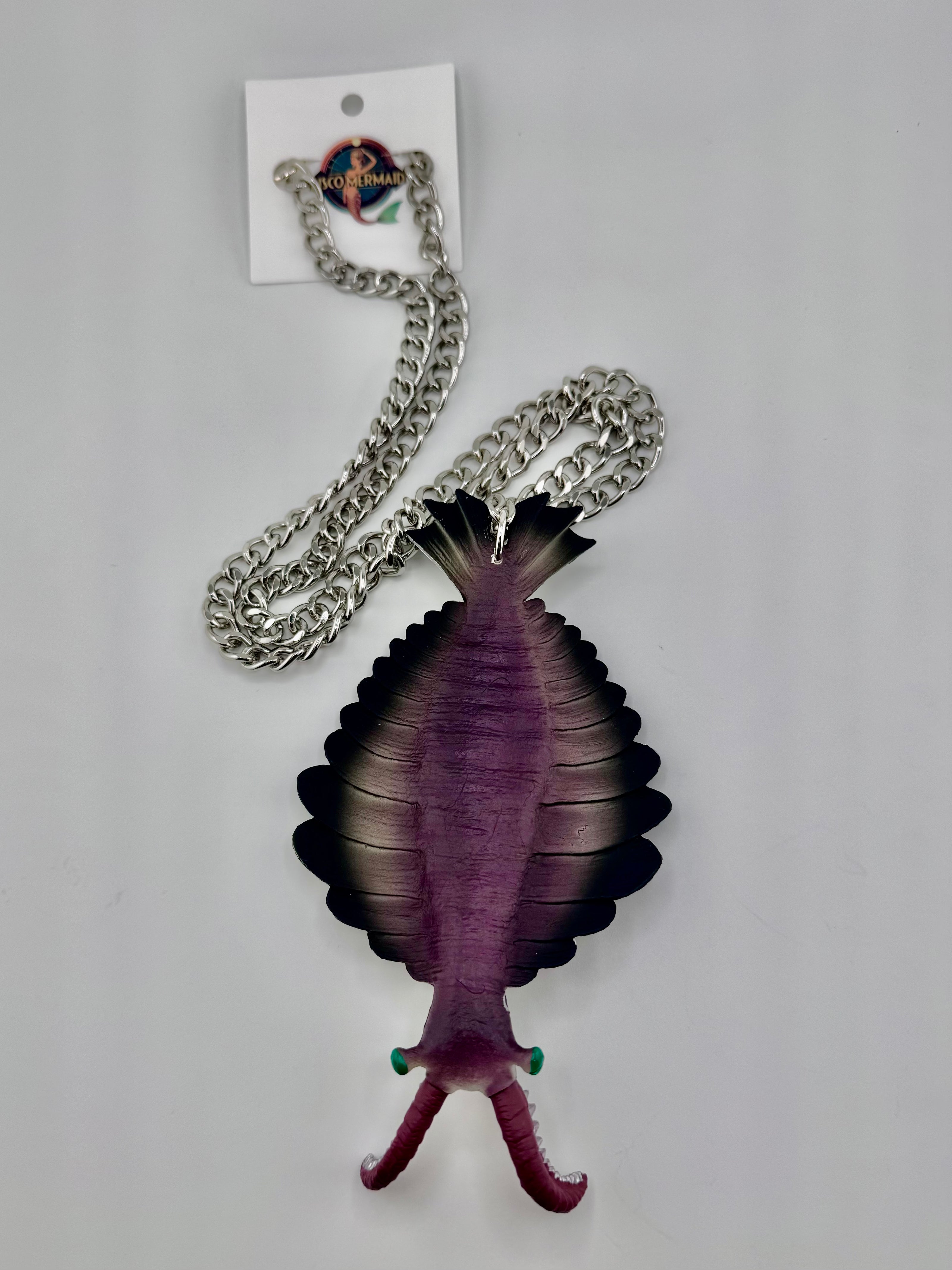 Anomalocaris