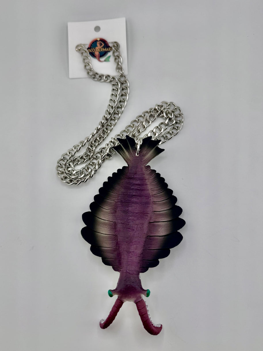 Anomalocaris