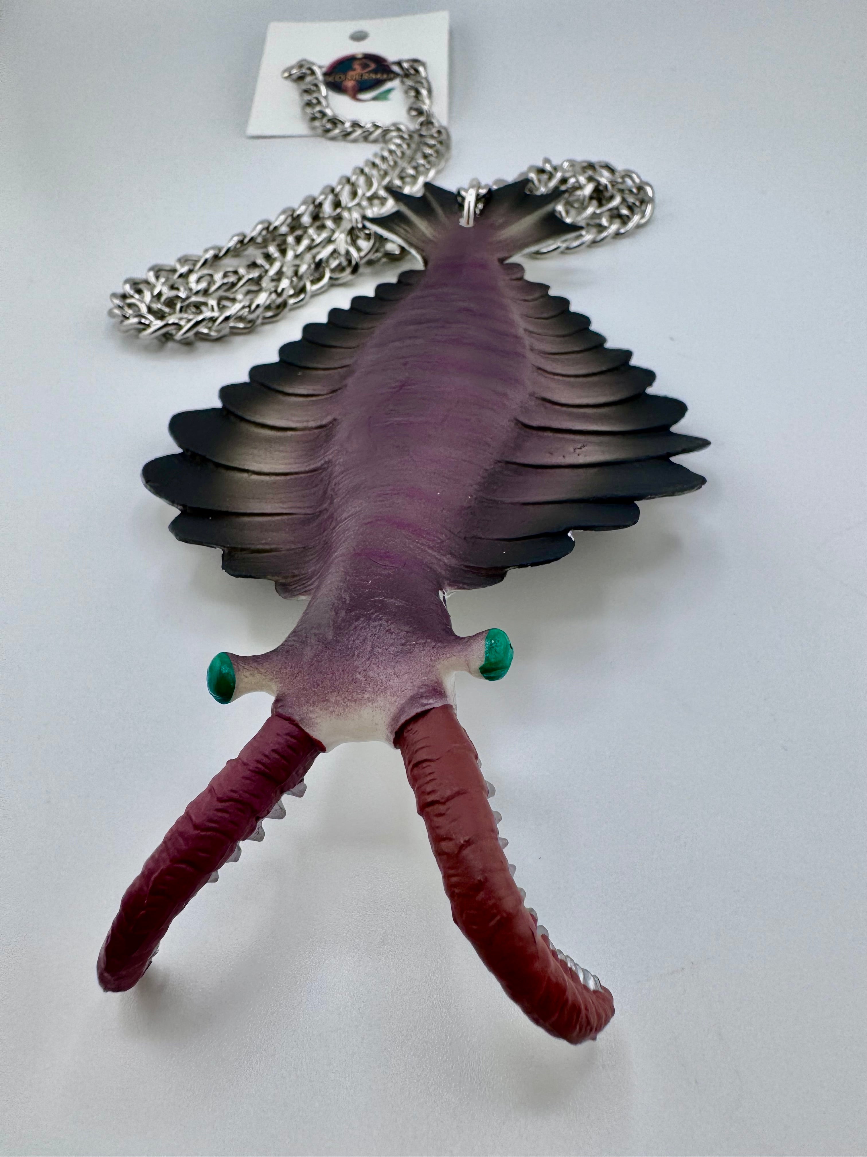 Anomalocaris