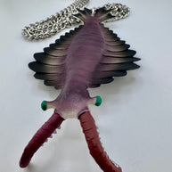 Anomalocaris