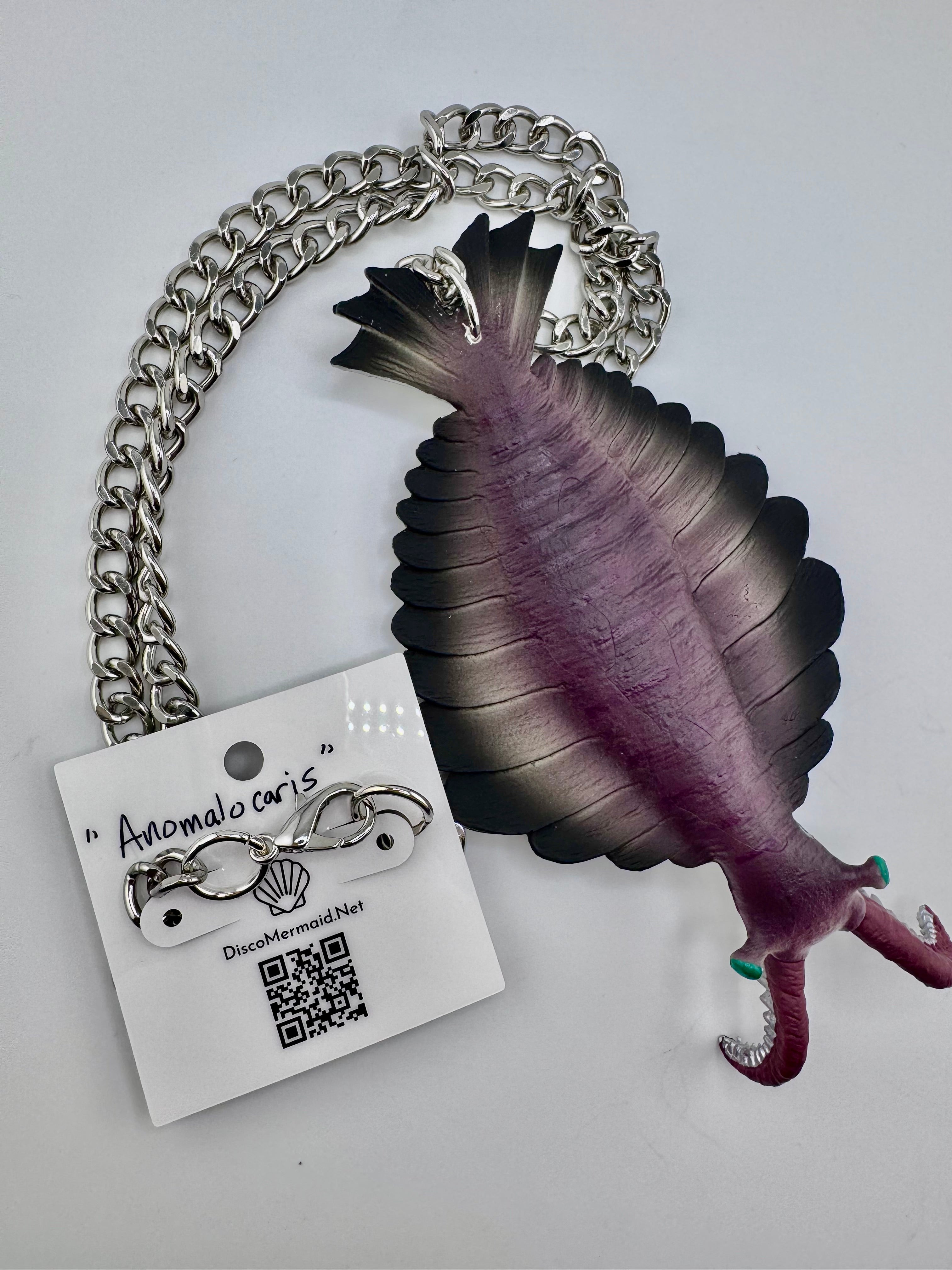 Anomalocaris