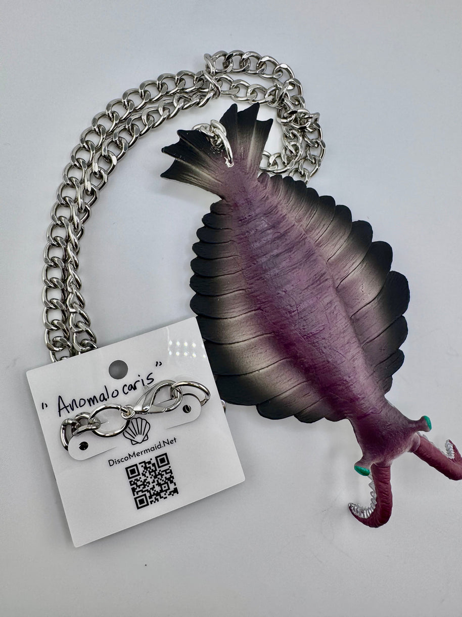 Anomalocaris