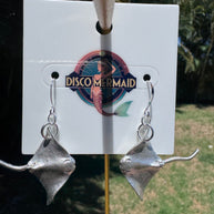 Silver Skates